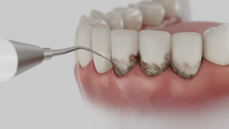 Reliable Dental contractor in Baldwin City, KS by Dentist Open Now